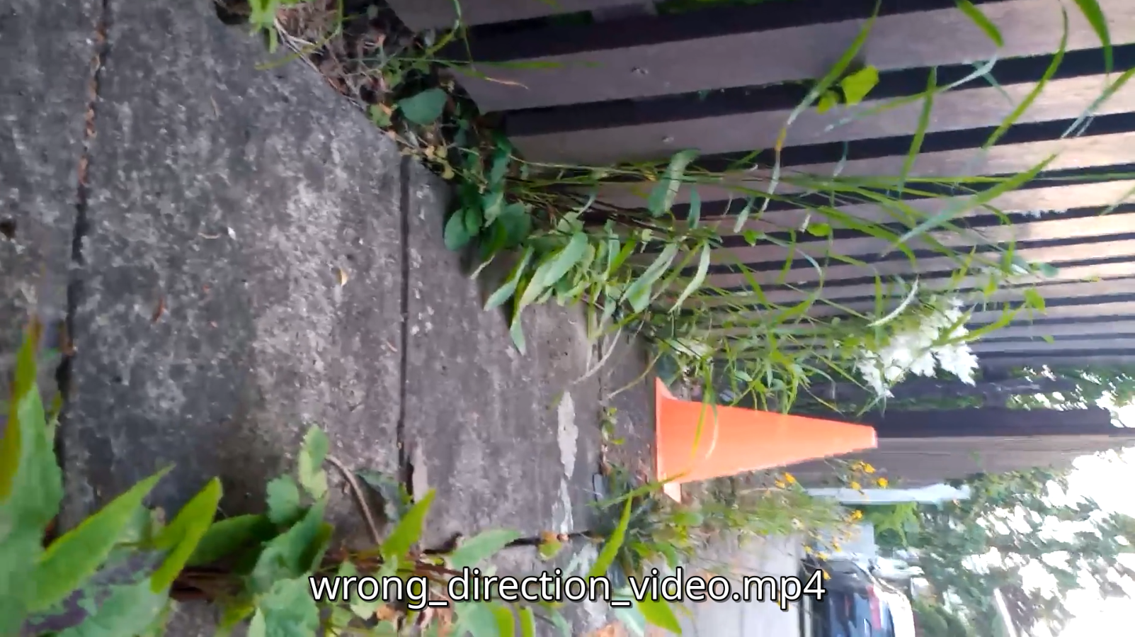 Vertical video rotated wrongly